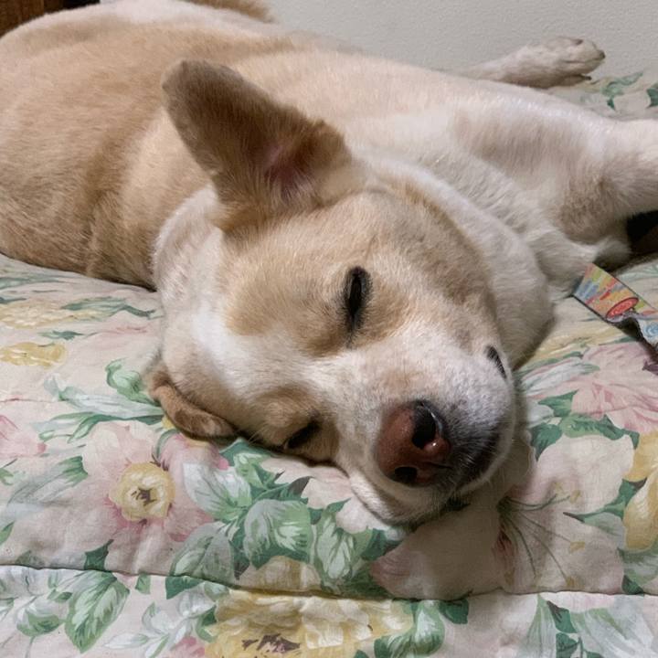 304a8625 74d5 49c0 92a1 777a7a84cc51 1564063058398