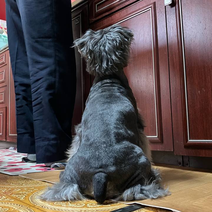 304a865a 59e9 434c 8e26 322bd2c08d89 1717835104445