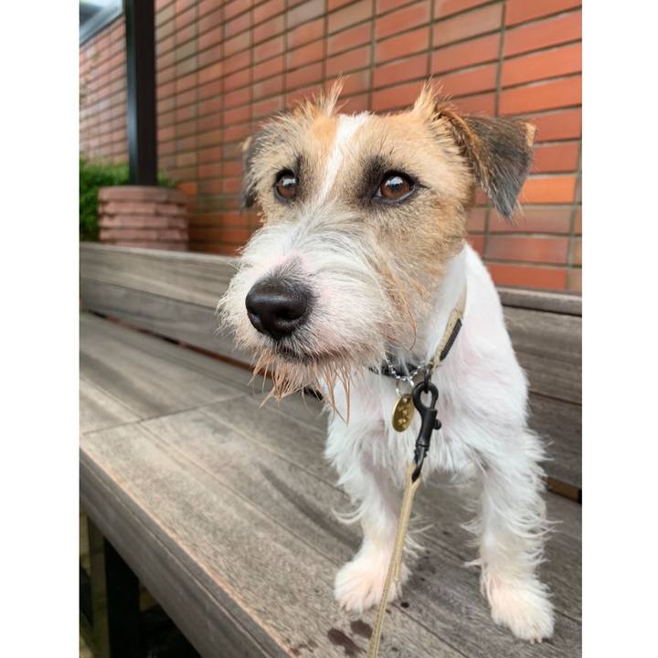 304aa490 2ec7 4682 a22e 3b1310a352d8 1593861467204