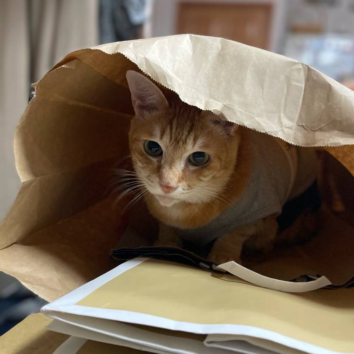 304aafa5 3eeb 4d2e ae6a 2aab299b1de8 1616046608244