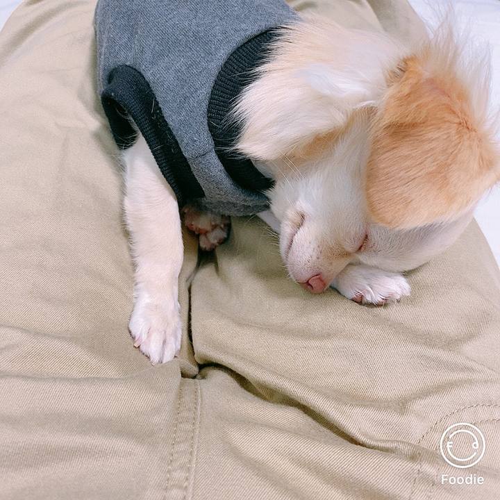 304ac808 8eb7 44e9 8517 72201f1bd619 1602120212931