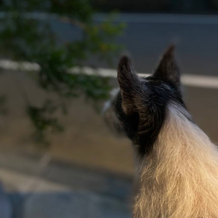 304aca00 d8b2 4c71 854a e23c04c37132 1596369585642