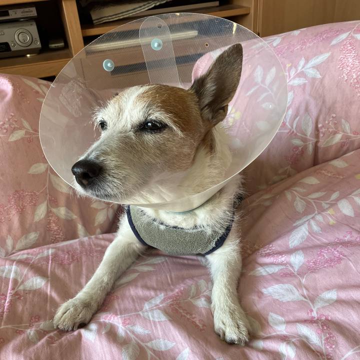 304ad2cf 8538 487b b539 cf0a5b2de23c 1740008258828