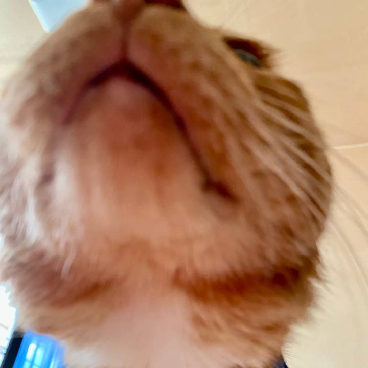 304ad5e1 061e 4235 8fca 4d1d079ac9c6 1765160689087