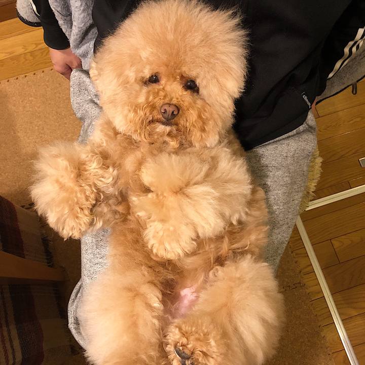 304ba578 8dbd 44e3 83ca 888ab541f649 1552391509860