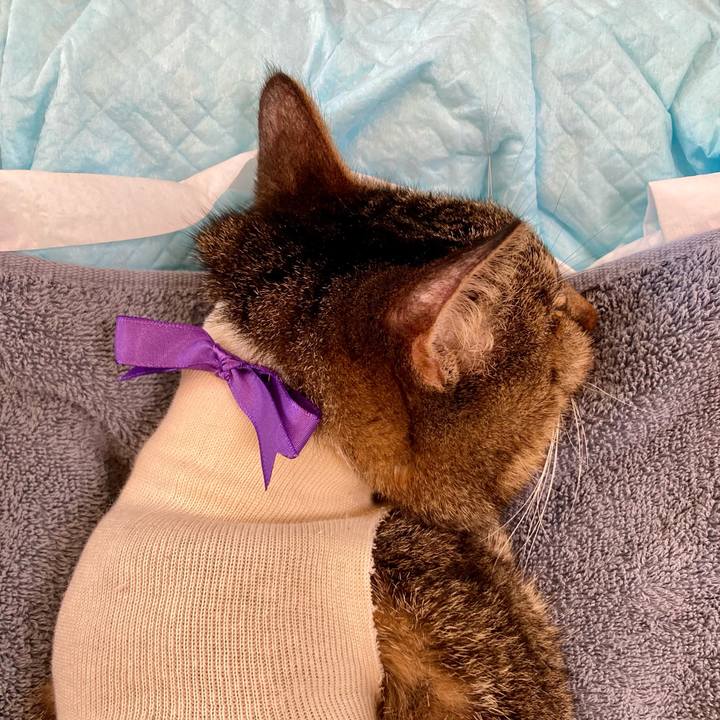 304bbc87 c39a 4331 beab 007a8405521a 1688525381542