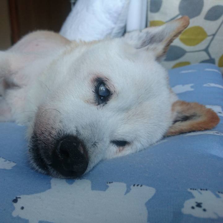 304bc2b6 0560 4a45 a1ea 1f512530eb6f 1531172778419