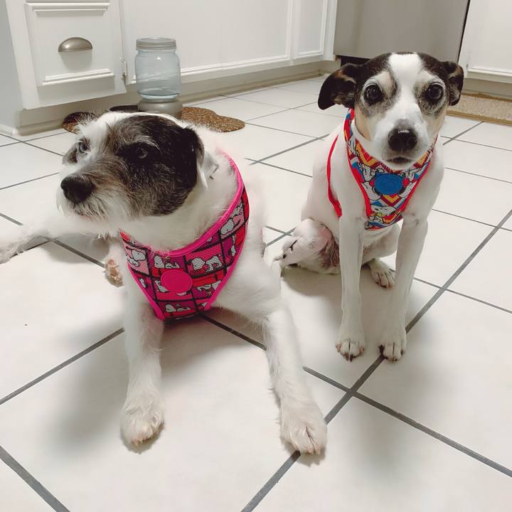 304c00fc d36d 445f b120 13d536b8f6c5 1594424549766