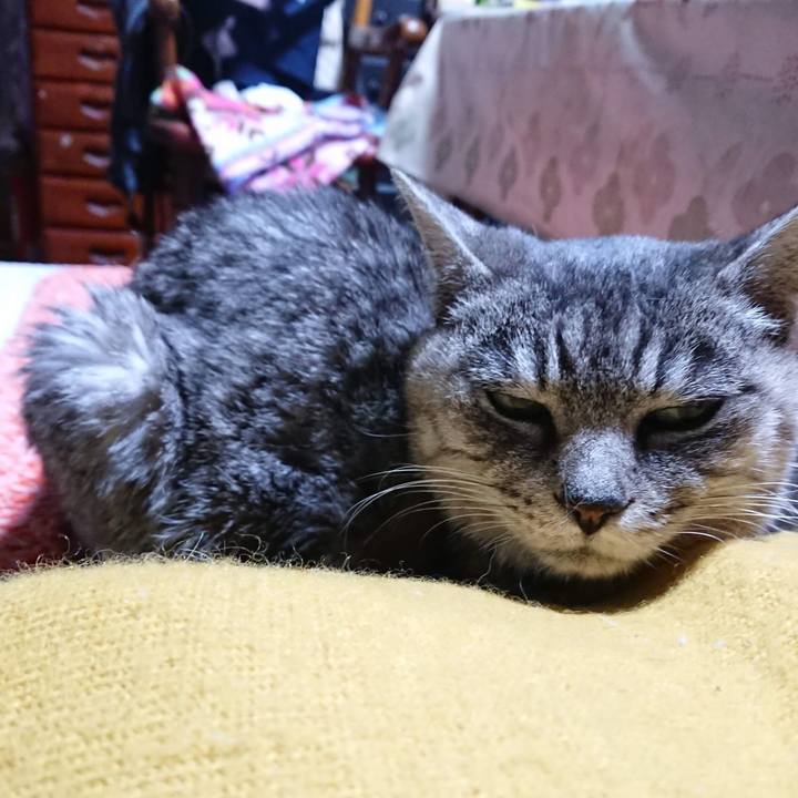 304c0e66 3c80 48e4 801f 01549881243b 1605388467206