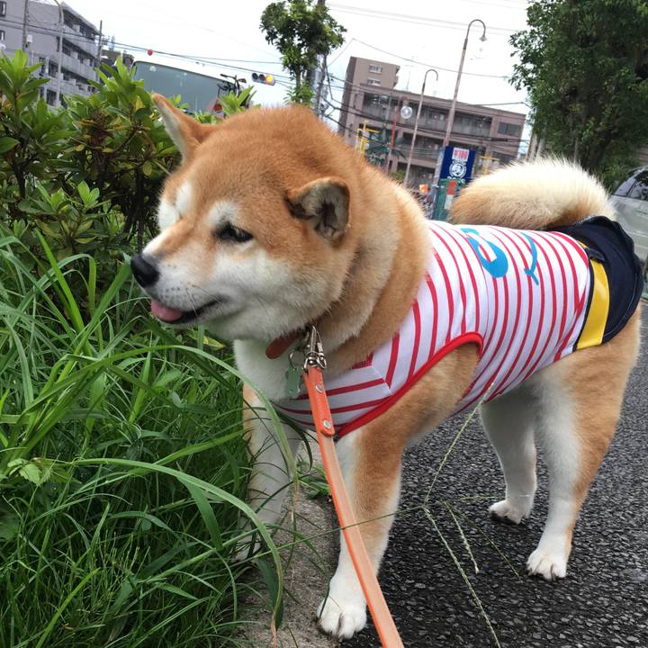 304c1bc9 f890 479c 895b 3cca5f5d94f7 1566427055624