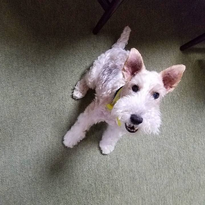 304c1fc3 224e 42b6 9c88 043601884491 1530843843296