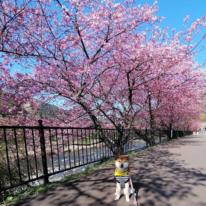 304c4255 df8e 4668 a630 9f1e4212e326 1581164868694