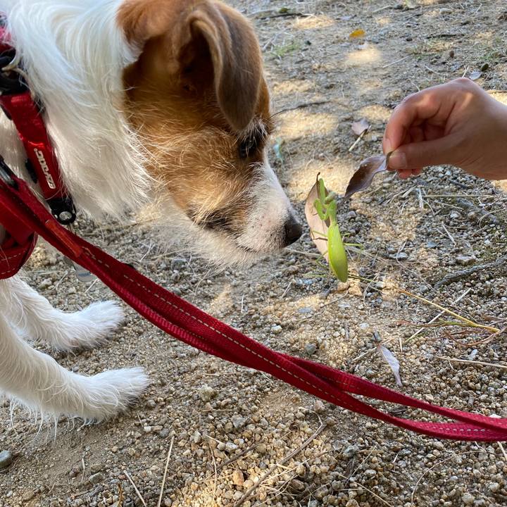 304c61d3 9cc2 46b3 8444 cbe463eca53c 1633754022644