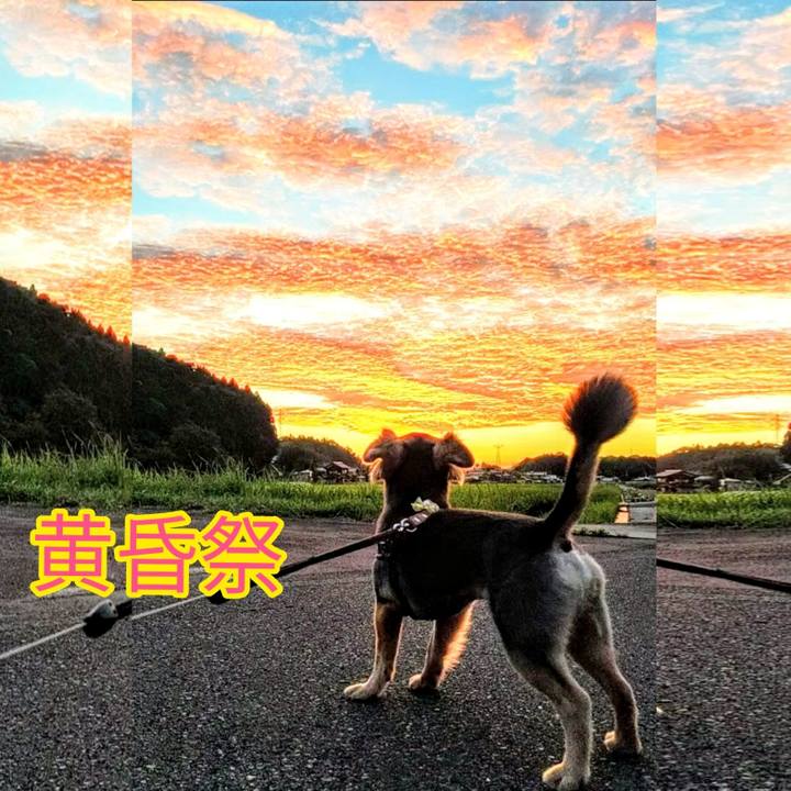 304c7b4b cbfb 47f0 9cea 958f9f4eb875 1597569965855