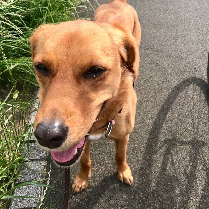 304c9c15 8693 48b4 9ca4 ccaa8e9844bc 1526870798200