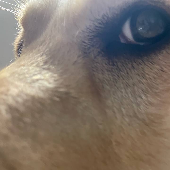 304ca1bf 0d20 4ad5 8795 9c1f78384f03 1677932993899