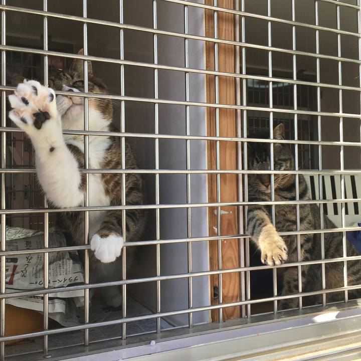 304ca4ec cf3d 4d9a 9c70 357dea0c2bda 1583375783409