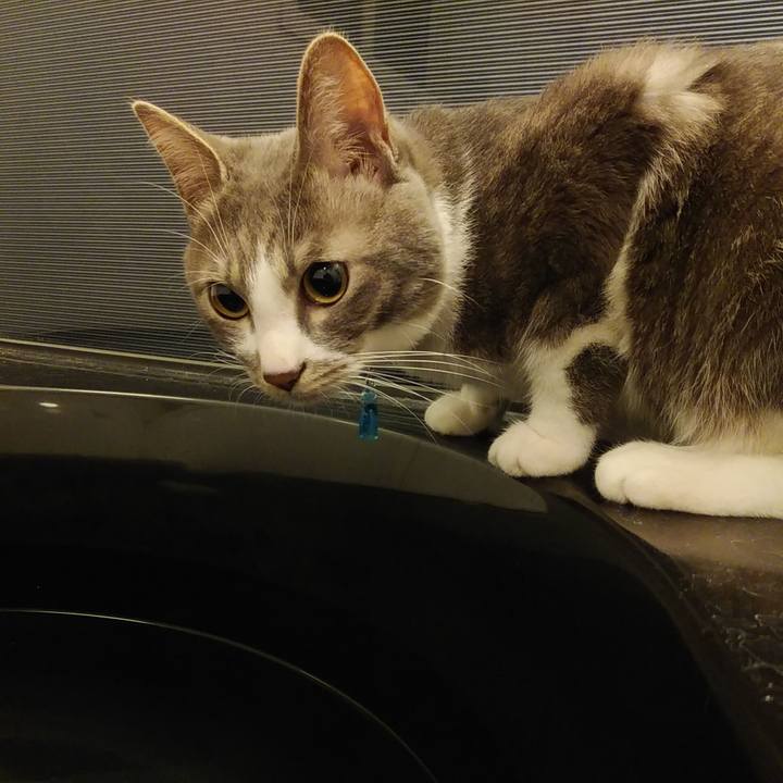 304cae29 5ed8 47b7 8b25 26f2bd78e444 1589465201647