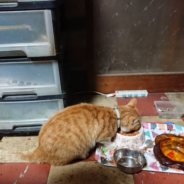 304cd504 b712 474a a913 6e127858f8b8 1591385056265