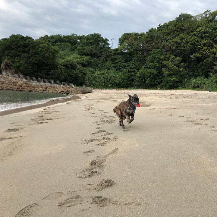 304d607f 2d06 40ac 9d68 30b8d0020f2c 1563371250941