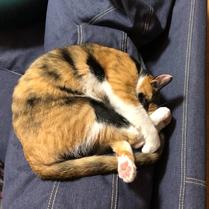 304dda4b eb0e 478b 9425 0307ff4d73b4 1538747805449