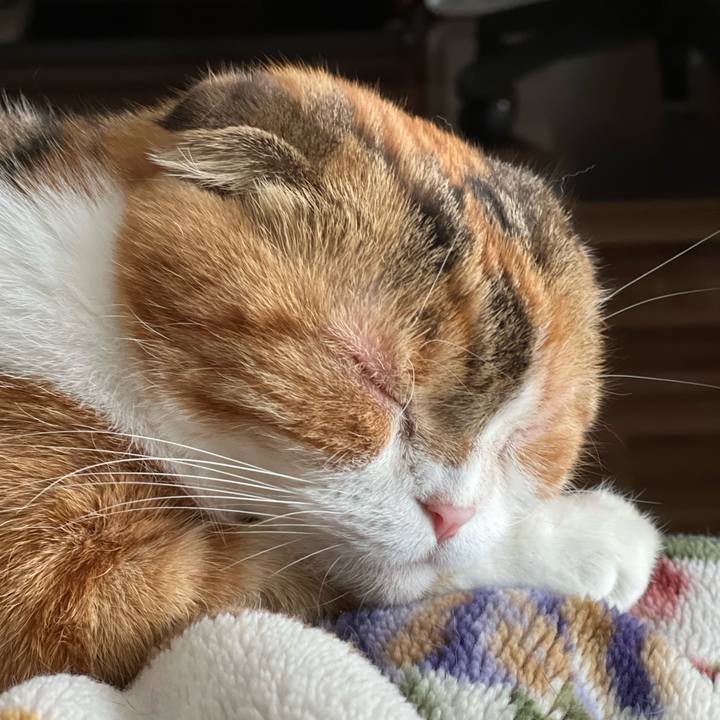 304de9f2 6326 41d2 b92f 77bc566bd226 1680241723658