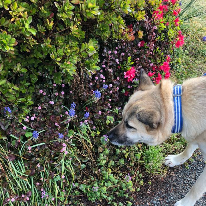 304e07b5 19cb 409c 9d61 6ac0ad31a661 1554715468129