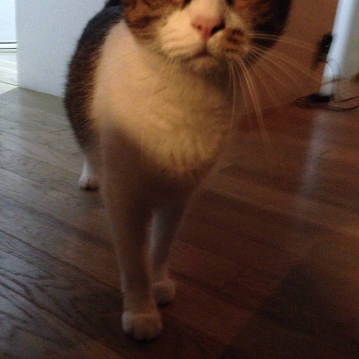 304e47b2 17aa 4f7d 9fc6 56fd6a670eed 1547360418400