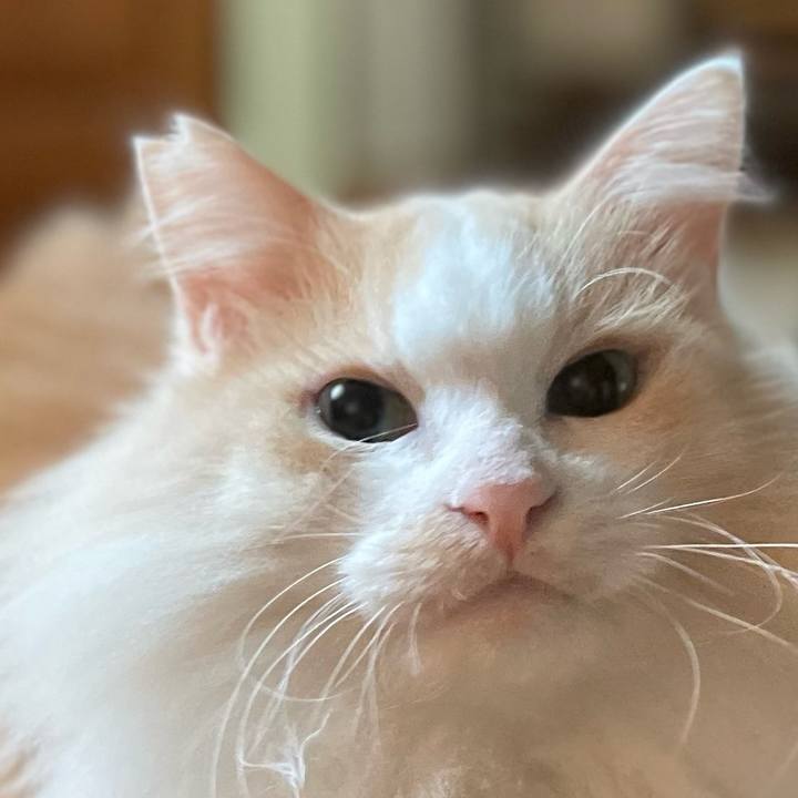 304e6138 435f 45ed bcfd 98fafd298860 1665182444205