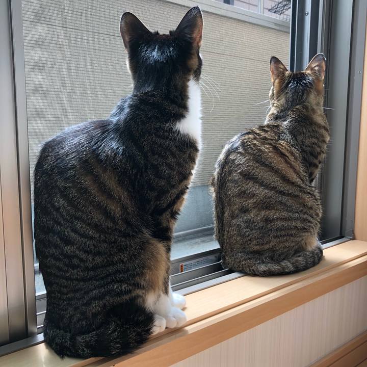 304e9a01 3d4b 43cc 8fd7 d40795345cbe 1523853626202