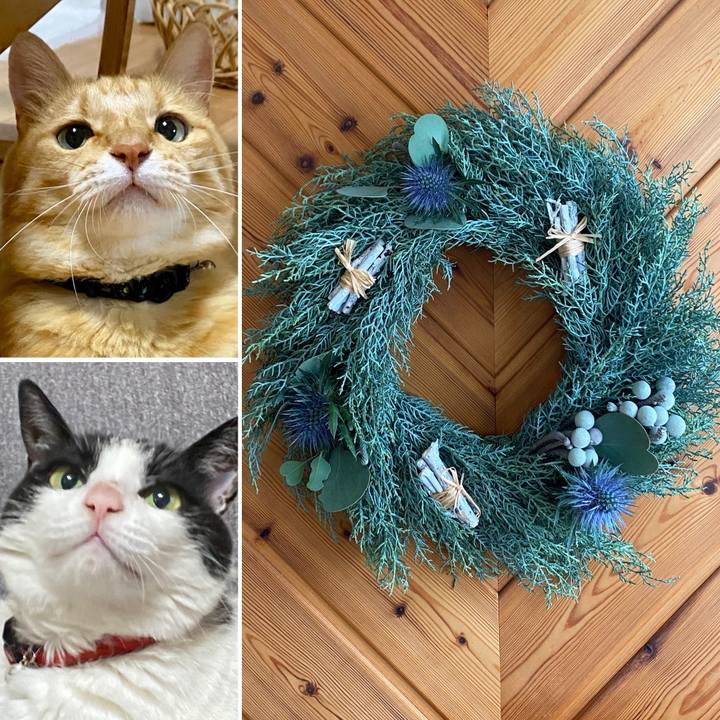 304eb1e8 b839 43e7 8fc7 5b2be40a6035 1760052784162