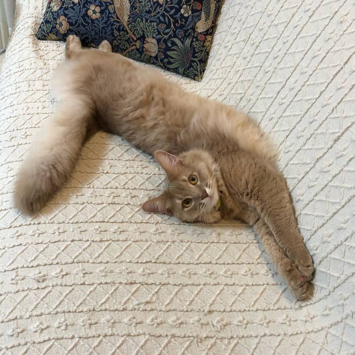 304ec894 3ca8 42dc 814f ec301c00b26f 1686271484978