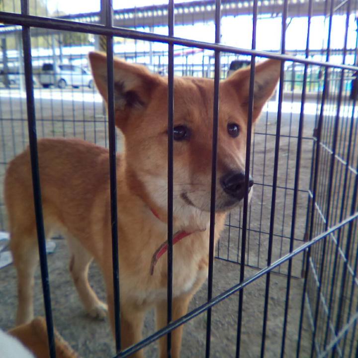 304edd4d 8fa6 4eb1 8c05 3b85a465bf71 1523179732950