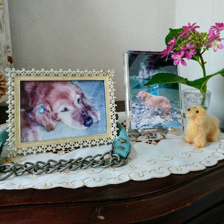 304eea8f cef8 4803 a368 9c015dc82f8f 1559873415991