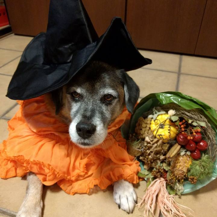 304f1613 f356 4541 9089 fad71d13dc74 1539939265065