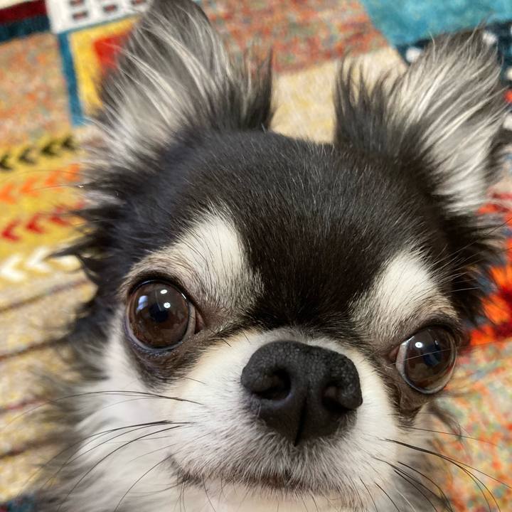 304f1835 0f60 4572 8e55 53ecd3b118ba 1680907818036