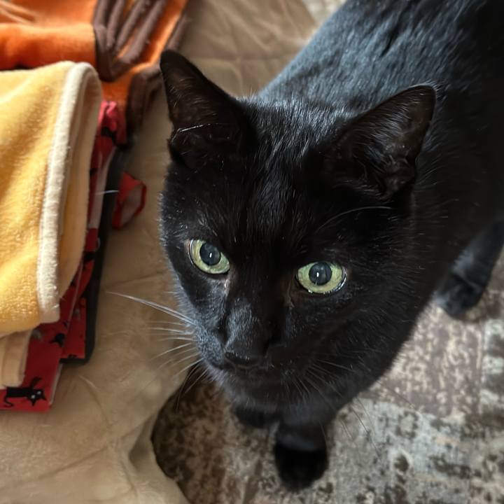 304f2138 3ce0 407e 80bb b9061d7697e0 1669082944690