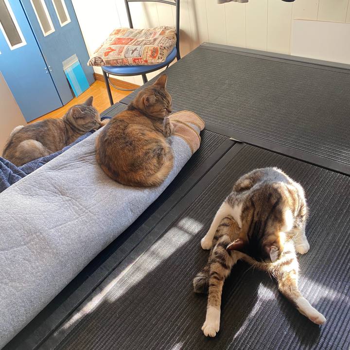 304f230c 0ea6 441e bbbd 6c62895a869d 1578625185781