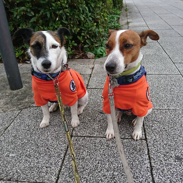 304f39aa 4a81 480c ae47 217fa2470c17 1601517867378