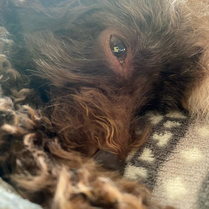 304f84c7 d950 4071 9389 0e2f53acf989 1606061755797