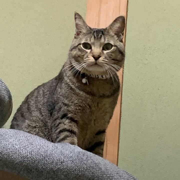 304f854a db44 47a5 9f5f 68023dae28bf 1587712194095