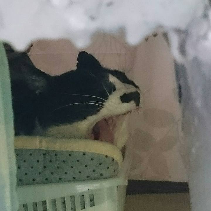 304fd8b1 5998 4de0 be76 14d02aebb777 1521357765956