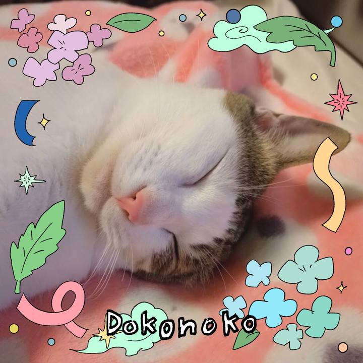 304ffba8 61e3 4441 8281 ce8a3cded0ee 1717847151425