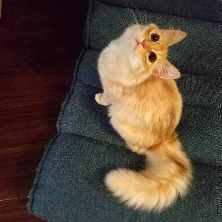 3050089f 68ca 4903 835a 0d40148810ca 1617228588280