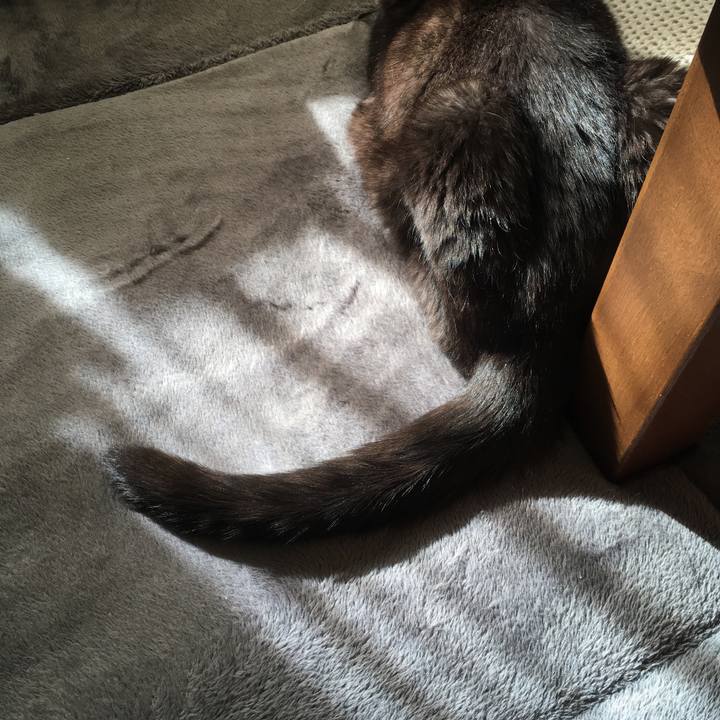 30502431 a354 4bc0 b547 ee7a2d92d58c 1573864738238