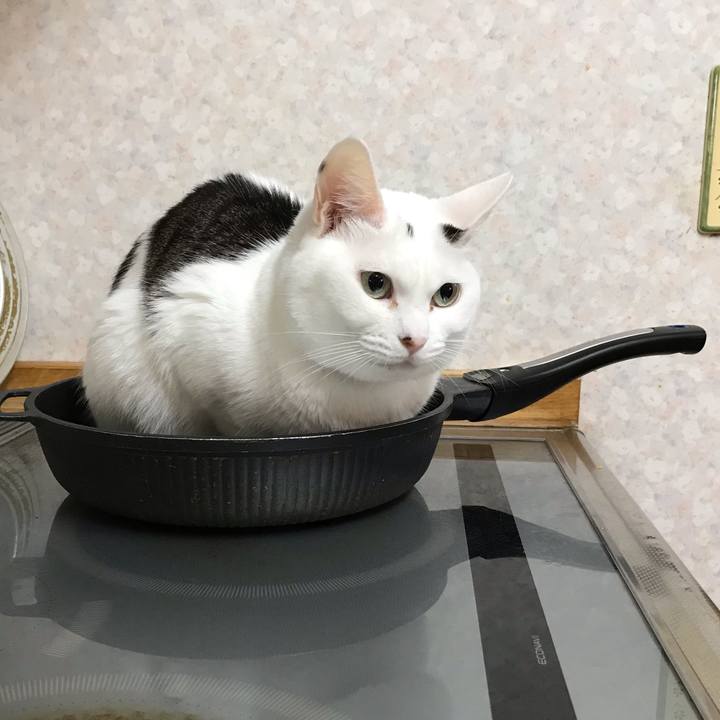 30503318 c2e7 46e9 84d9 ecd48a847d35 1604187210716