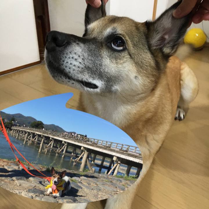 30505f5b a2e7 418e b98f 1b92be3c1af9 1537353393669