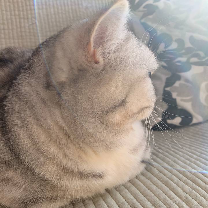 305074fc 9c76 43d6 ae9a 69eba2101d67 1710282097726