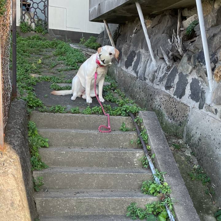 30507c3d 0e64 4a23 8250 dac8e4c17b62 1633307515972