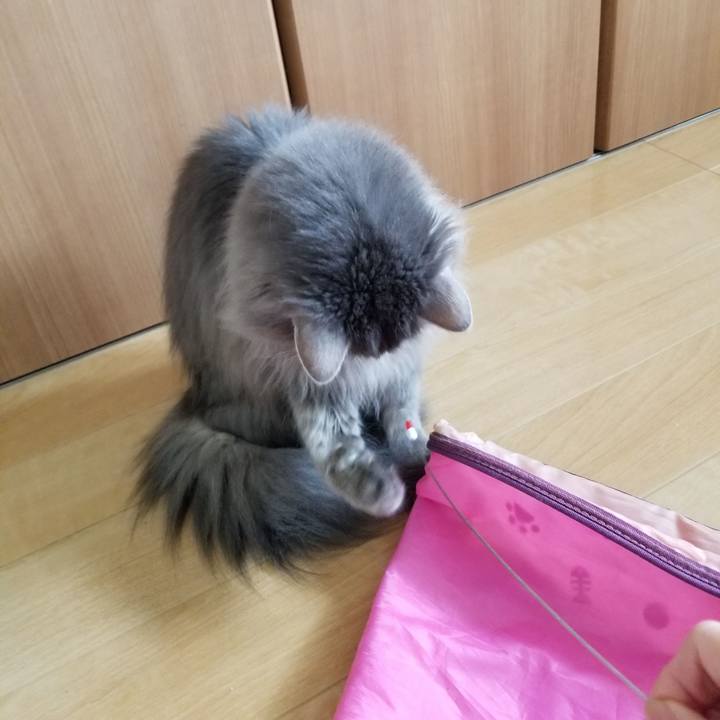 30507cf5 3133 4f1c ba21 f387c1a11f44 1553568341388